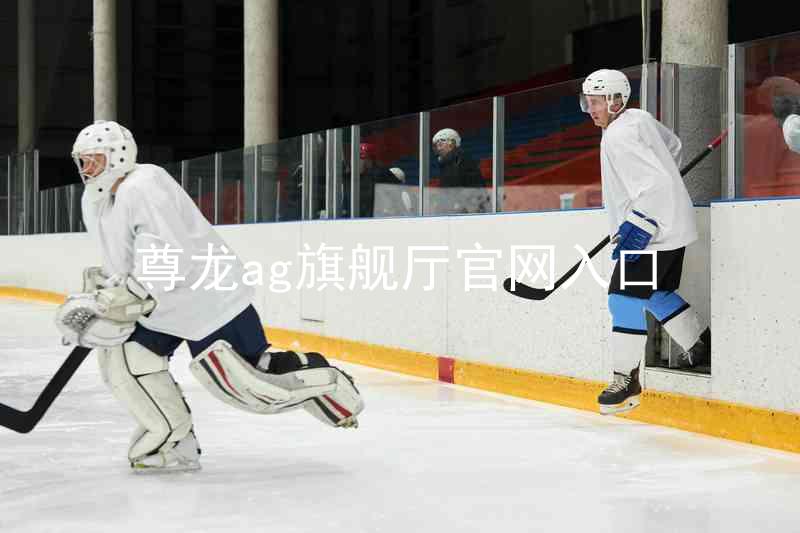 尊龙ag旗舰厅官网入口